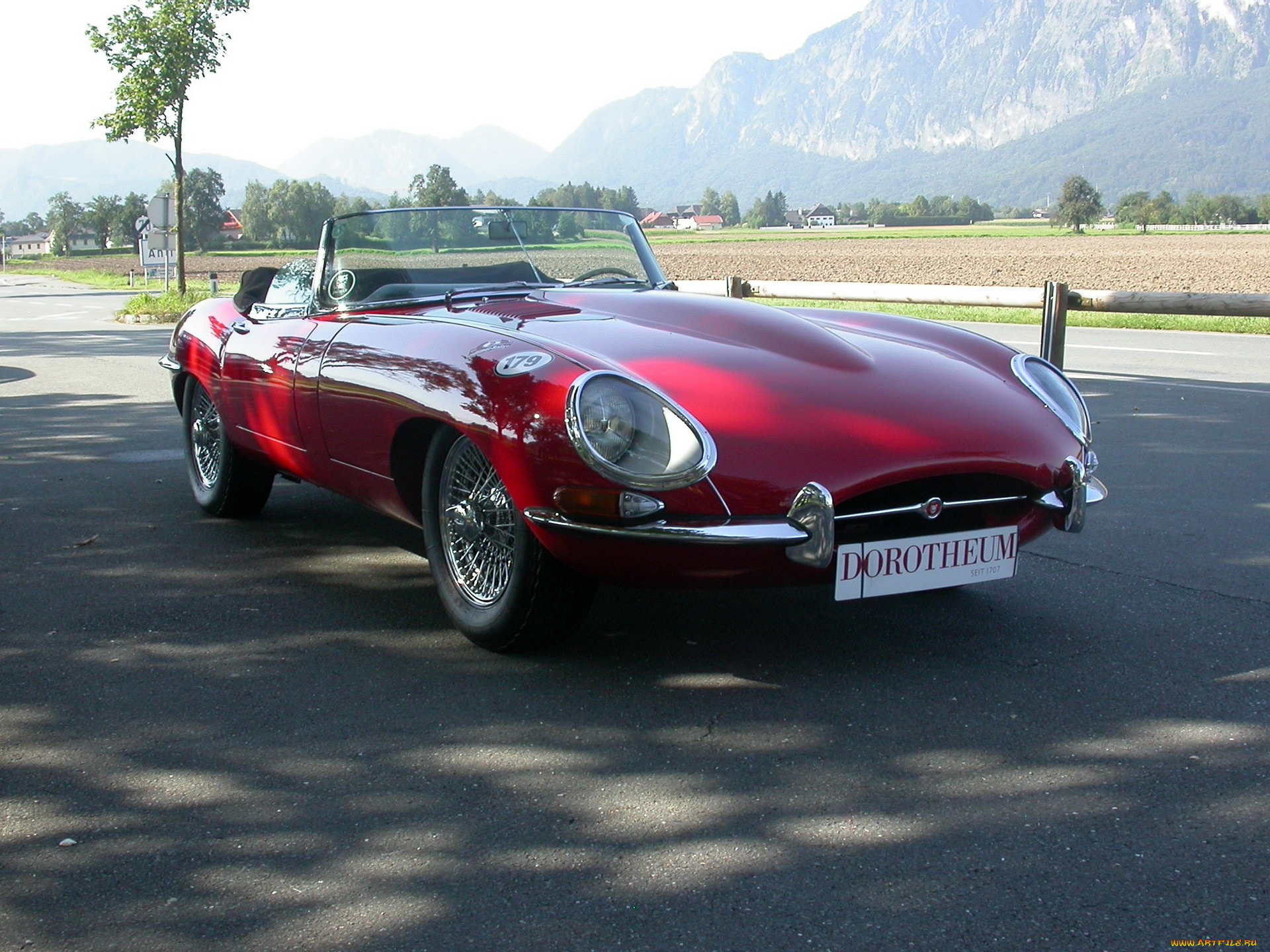 , jaguar